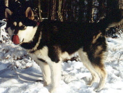 Unalaska&acute;s Miss Nakomi Ashai