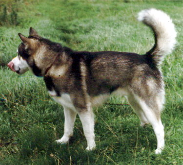 Daiyan mit 11 Monaten